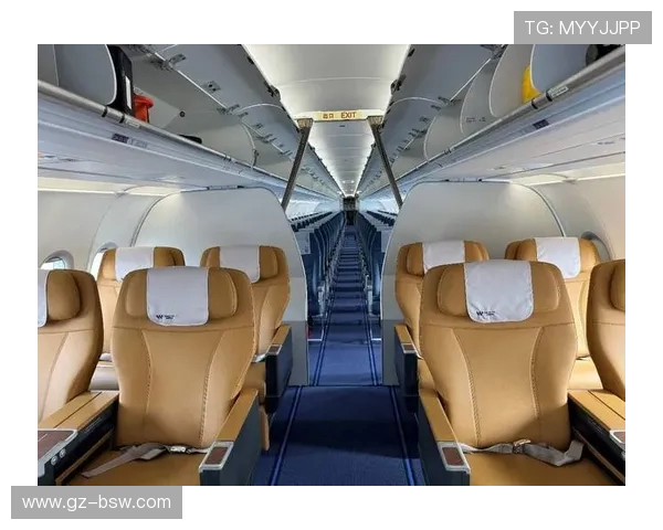 飞机客舱侧壁板的吸音层结构